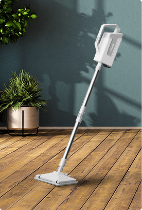 Steam Mop