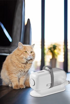 Pet electrical appliances